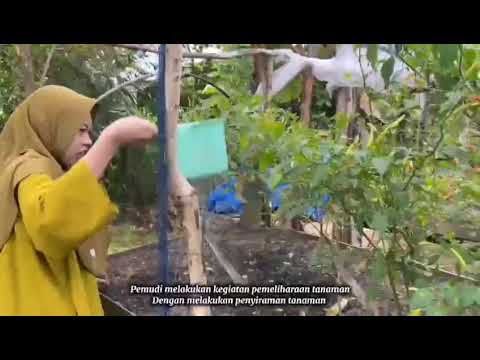Pemuda Berkebun, Desa Maju
