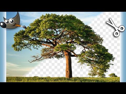 Komplizierte Objekte einfach Ausschneiden & Freistellen | Gimp Tutorial Deutsch