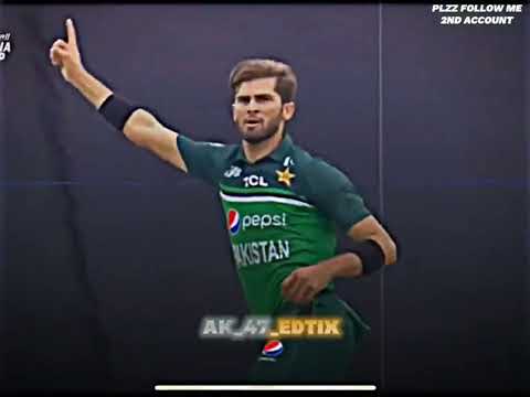 shaween showing level