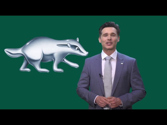 Dachs Berater