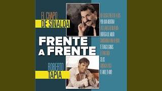 Te Amo, Te Amo Lyrics English Translation