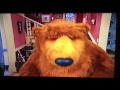 Bear Sniffing With His Nose Clogged