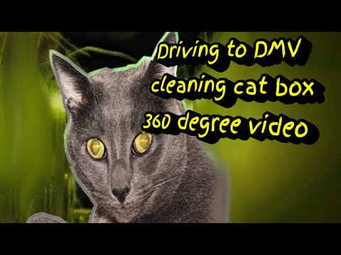 Driving 2 DMV l cleaning cat box l 360 l relaxing music l Cyberlink