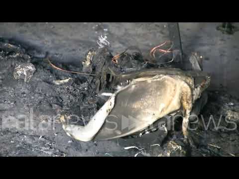 Roma, la libreria antifascista “La pecora elettrica” incendiata per la seconda volta