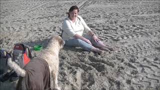 MELISSA ETHERIDGE = MUST BE CRAZY FOR ME = NEVER ENOUGH