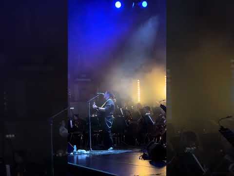 Symphony Tribute Concert Kino, Viktor Tsoi - Пачка сигарет live in Berlin 29.11.2024