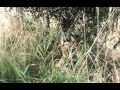 Zahrada The Garden Trailer Contact Film