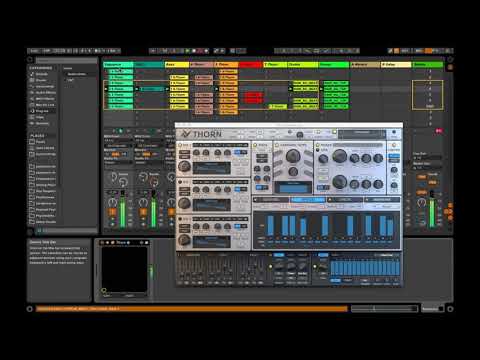 Dmitry Sches THORN Synthesizer - demo by Vanderson