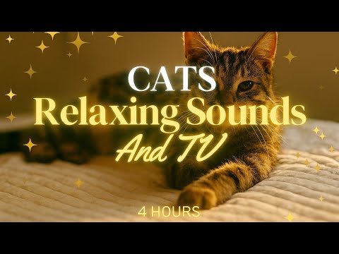 4 Hours of Calming Cat TV & Music 🐾 Stress Relief & Relaxation for Cats😻