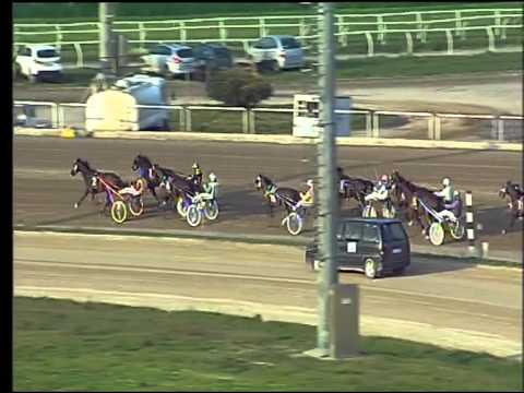 Trotto 19/03/2015 - 5° corsa