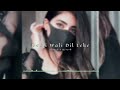 Delhi Wali Dil Leke Bhagal Delhi Wali Dil Leke Bhagal Slowed And Reverb Lofi Song R Lofi Sad