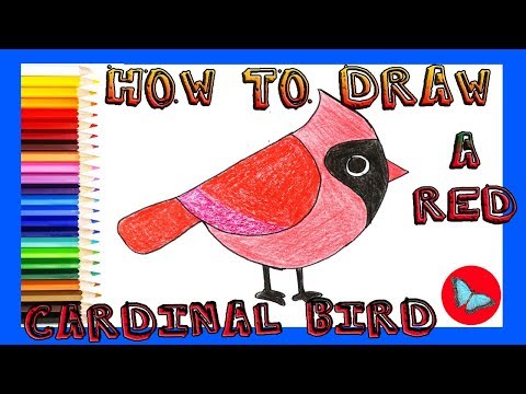 How To Draw A Cartoon Red Cardinal Bird |Coloring and...