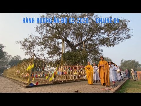 ĐOÀN HÀNH HƯƠNG ĐẠO PHẬT NGÀY NAY CHIÊM BÁI CÂY BỒ-ĐỀ ANADA (ANADA BODHI TREE)