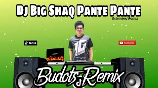 DJ BIG PANTE PANTE BUDOTS REMIX 2023 TIKTOK VIRAL SONG FT. DJTANGMIX EXCLUSIVE PARTY DISCO
