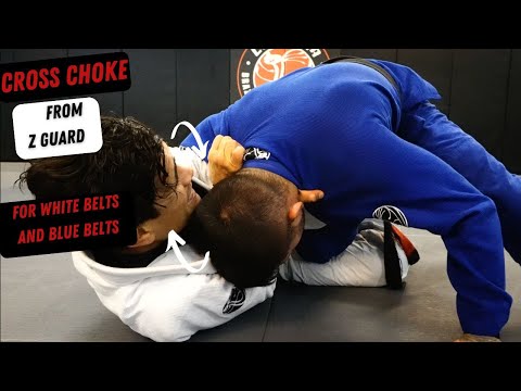 Cross Choke from Z Guard for White Belts and Blue Belts or Black Belts | Cobrinha BJJ