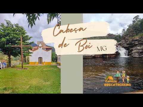 Cabeça de Boi. Minas Gerais