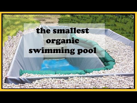 I Made a Tiny Organic Swimming Pool in my Garden (SWIMMTEICH)