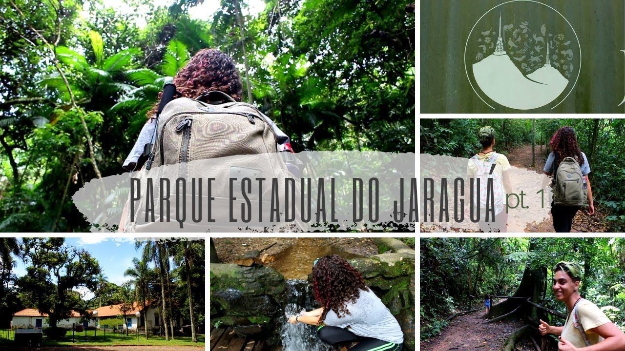 O que tem lá além das antenas? - Parque Estadual do Jaraguá pt. 1