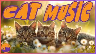 Leave This on for Your Home Alone Cat! 🐱(Calming Enrichment)