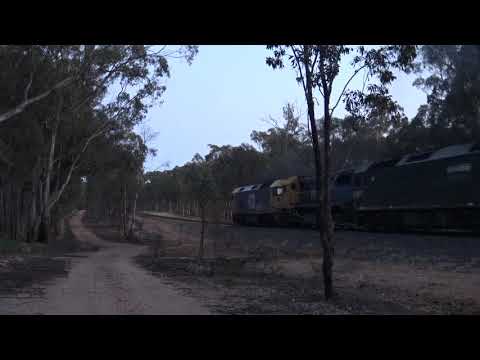 7901V with BL33 / X50 & G539 The Fruity Appleton Dock to Merbein ( Mildura )  at Dunolly 14.9.2021