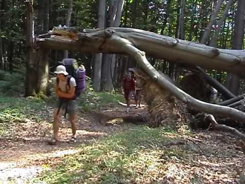 K AKO KAPUCIN Martin Borkovský