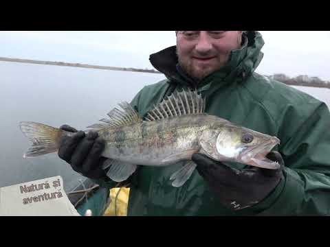 Natura si aventura: Pescuit de monitorizare in Marea Neagra, p2