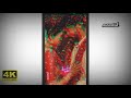 Rim Jhim Whatsapp Status Feel Love Someone ️ Special Manvish