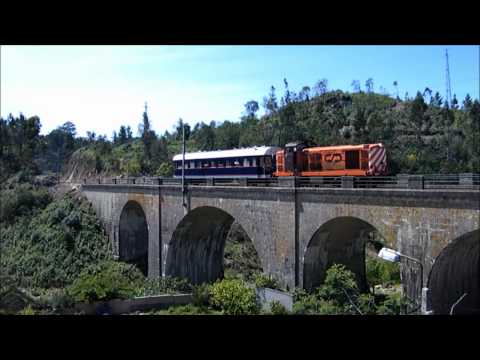 Marcha n.º 22184 - Guifões