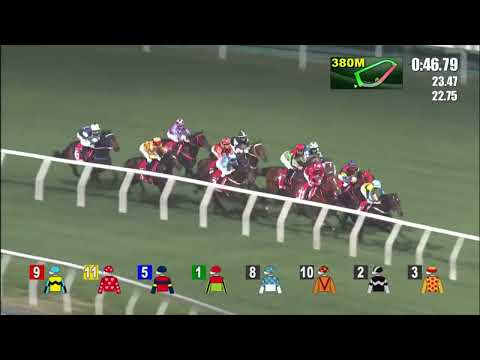 9/2/2022 (411) Party Warrior - Z Purton