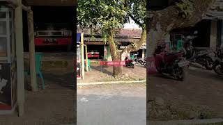 Download lagu Kampugku Sore hari menjelang Ramadhan || Suasana Pedesaan Jawa Barat mp3