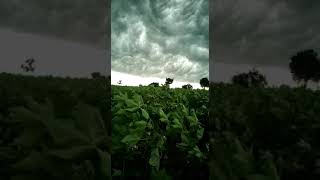 Rain Weather WhatsApp Status