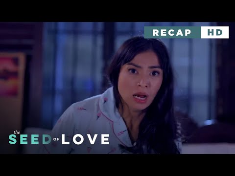 The Seed of Love: The coldhearted wife's realization (Weekly Recap HD)