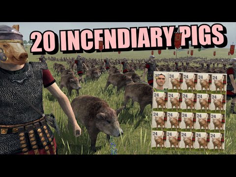 19 Incendiary Pigs
