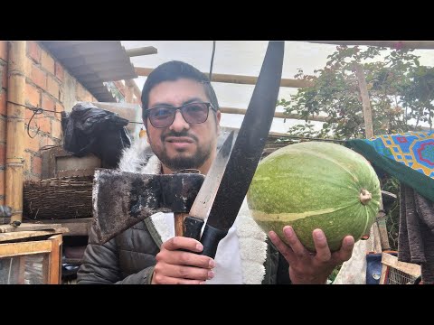 Como pelar una CALABAZA BLANCA MADURA: Tipos de calabaza