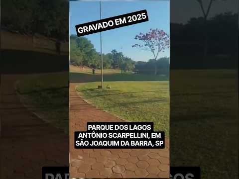 Parque dos Lagos Antônio Scarpellini em São Joaquim da Barra, SP - Gravado em 2025 #Shorts