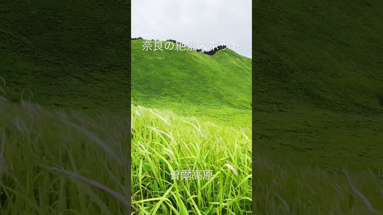 奈良の絶景スポット　曽爾高原　#曽爾高原　#自然界隈　#高原　#日本一美しい緑 #Z世代のトレンド
