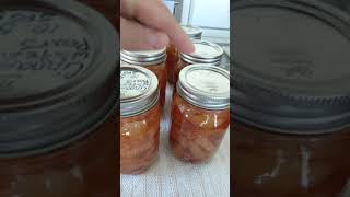 10/5/20 Canning Kieffer Pears(3)