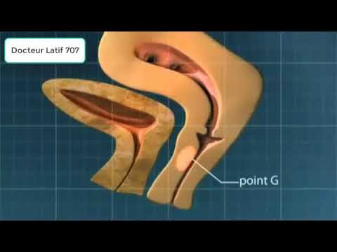 Le point G  source de plaisir chez la femme