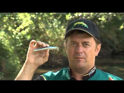 Pacific Sardine (EG-145F#692-713-RP)