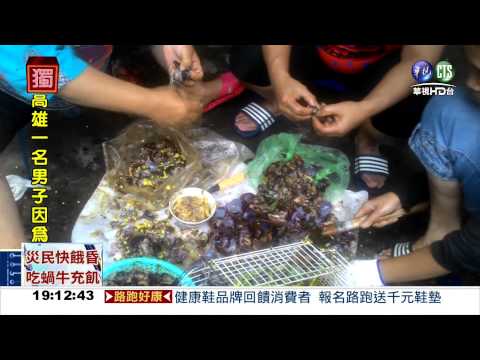 斷糧快餓昏 桃源居民捉蝸牛!
