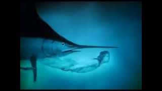 James Vincent McMorrow - If I Had a Boat (High Quality Version)