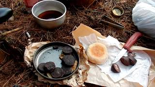 Wildcamp 8, steak on a trangia mini bivvy camp with a tiny tarp!