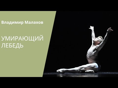 Dying Swan - Vladimir Malakhov / «Умирающий лебедь» - Владимир Малахов