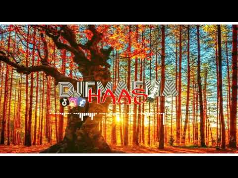 JIPAJIRUA LOCAL STRINGBAND - CICILIANA