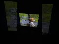 Sesame Street Episode 1910 Ending