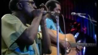 Sonny Terry and Brownie McGhee - Hootin' the blues