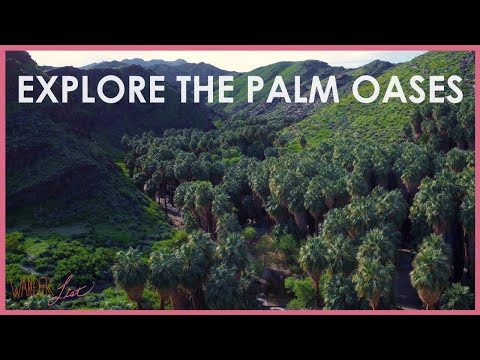 Explore the Palm Oases ~ Wander List