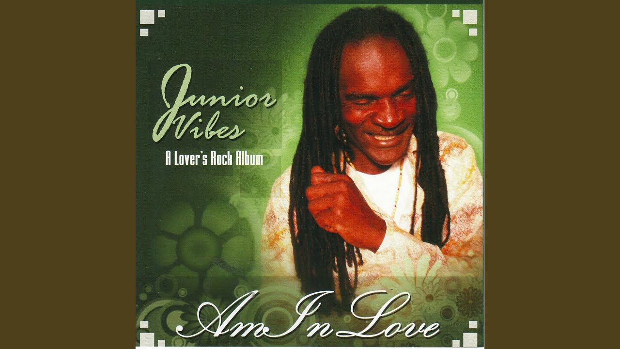 Jr. Vibes - When Will I See You Again