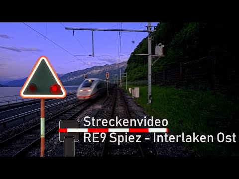 Führerstandsmitfahrt / Cab ride RE9 Spiez - Interlaken Ost 🚃 BLS RABe535 Lötschberger 🌅