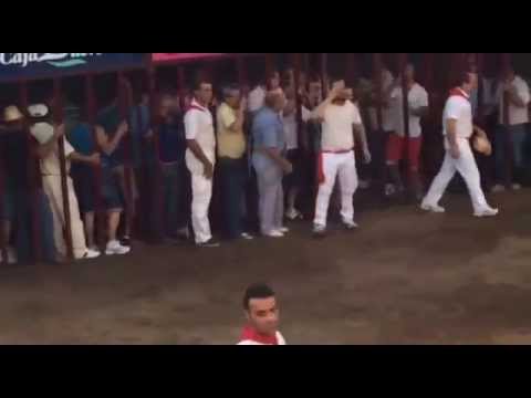 กระทิงไล่ขวิดคน